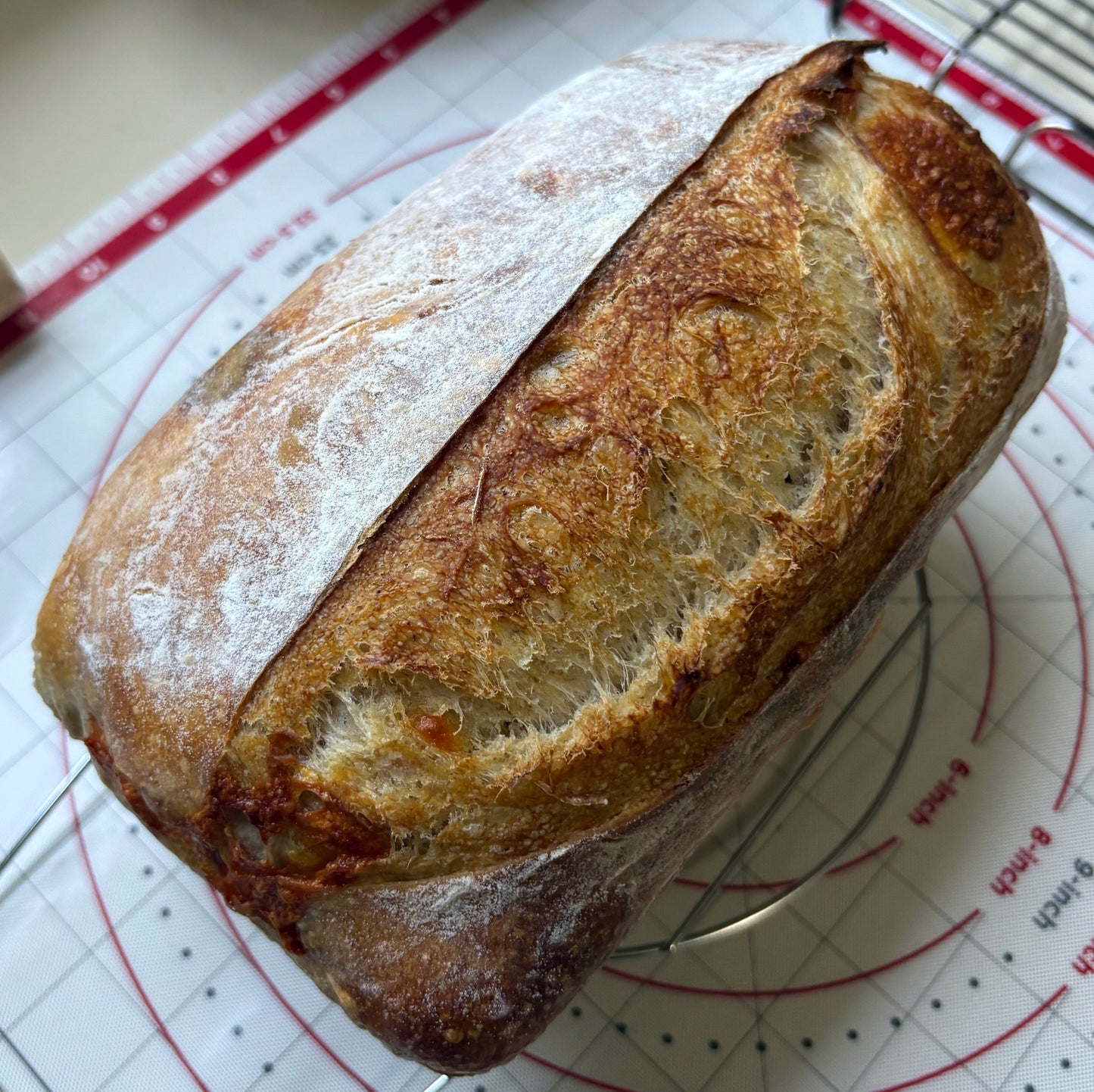 Sourdough Loaf